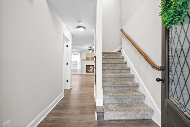 foyer featuring dark hardwood / wood-style flooring and ceiling fan