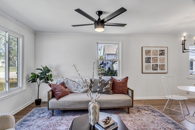 living room featuring ceiling fan, crown molding, and dark wood-type flooring