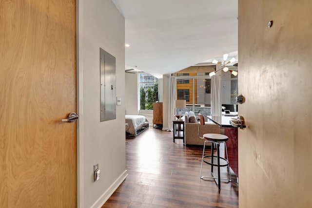 hallway featuring electric panel, dark hardwood / wood-style floors, and an inviting chandelier