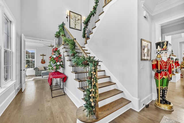 staircase featuring wood-type flooring, ceiling fan, and ornamental molding