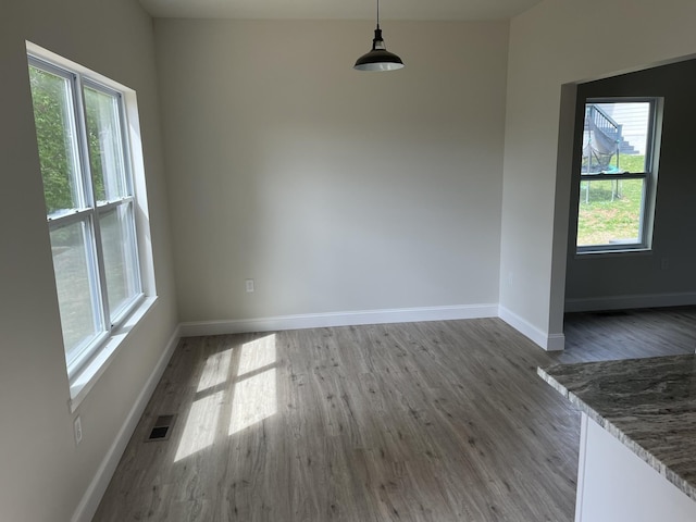 unfurnished dining area with hardwood / wood-style flooring and a wealth of natural light