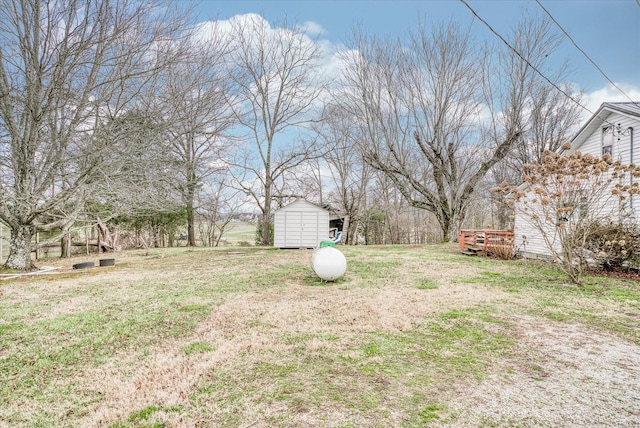 view of yard featuring a shed