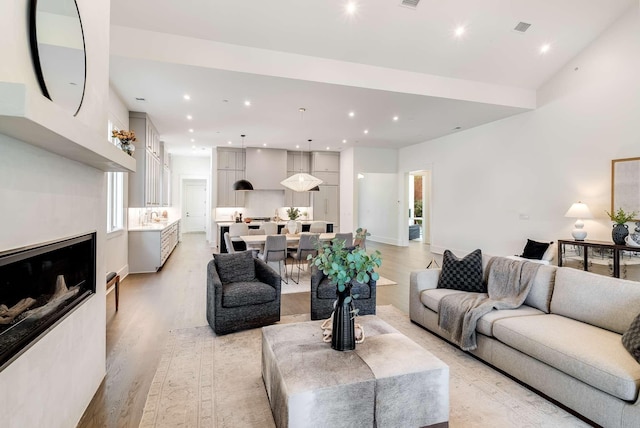 living room with light wood-type flooring