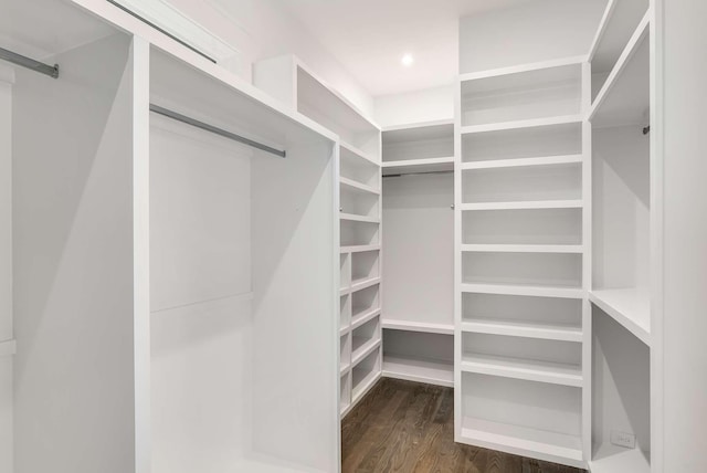 spacious closet with dark hardwood / wood-style flooring