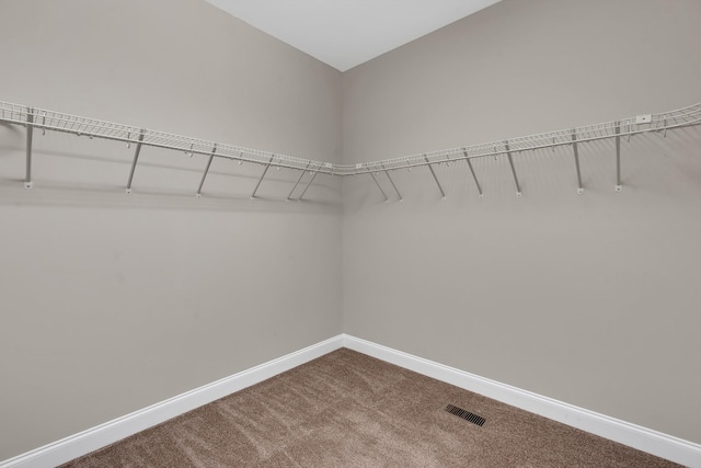 spacious closet featuring carpet