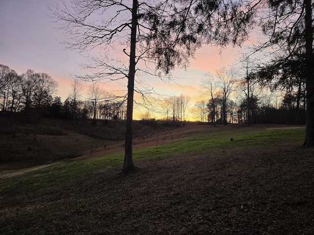 view of yard at dusk