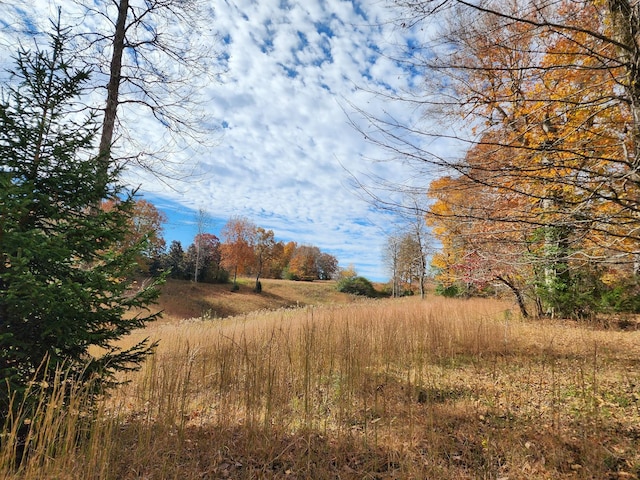 view of nature