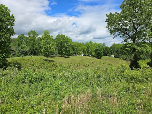 250 Justin Ln, Mcminnville, TN 37110 - photo 30
