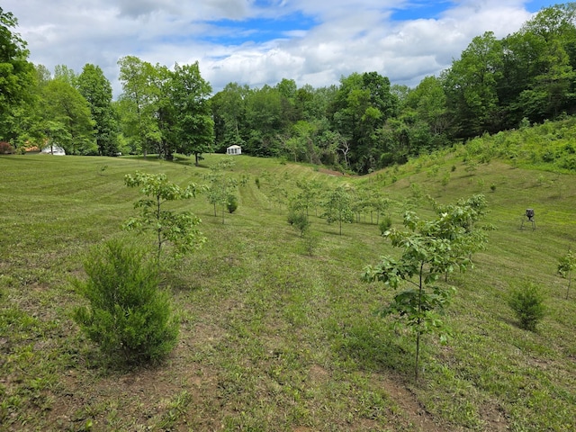 250 Justin Ln, Mcminnville, TN 37110 - photo 31