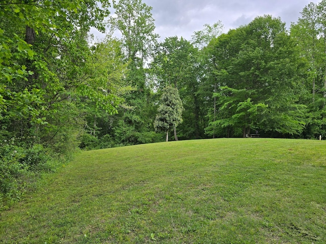 250 Justin Ln, Mcminnville, TN 37110 - photo 33
