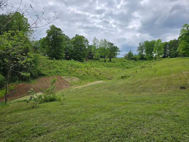 250 Justin Ln, Mcminnville, TN 37110 - photo 29