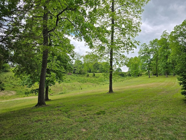 250 Justin Ln, Mcminnville, TN 37110 - photo 25