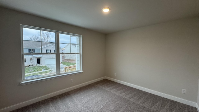 spare room with carpet floors