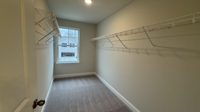 walk in closet with carpet