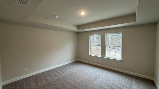 empty room featuring carpet and a raised ceiling