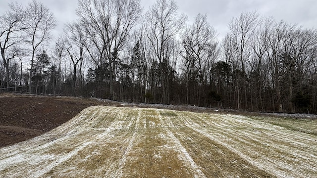 view of local wilderness