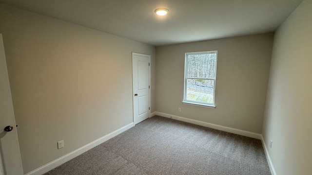 spare room featuring carpet floors