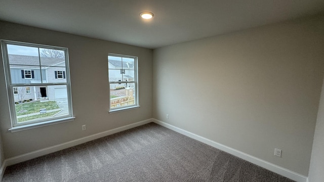 spare room featuring carpet and a wealth of natural light