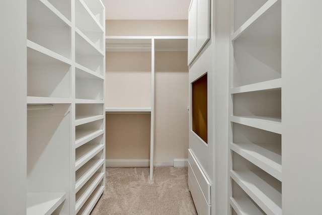 spacious closet featuring light colored carpet