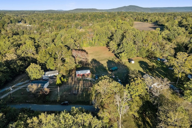 bird's eye view featuring a mountain view