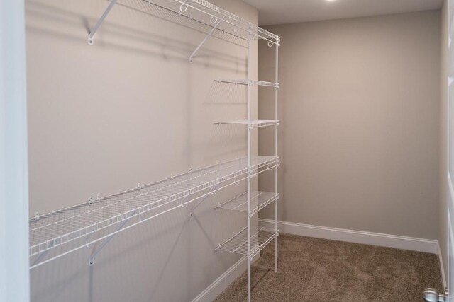 walk in closet with carpet