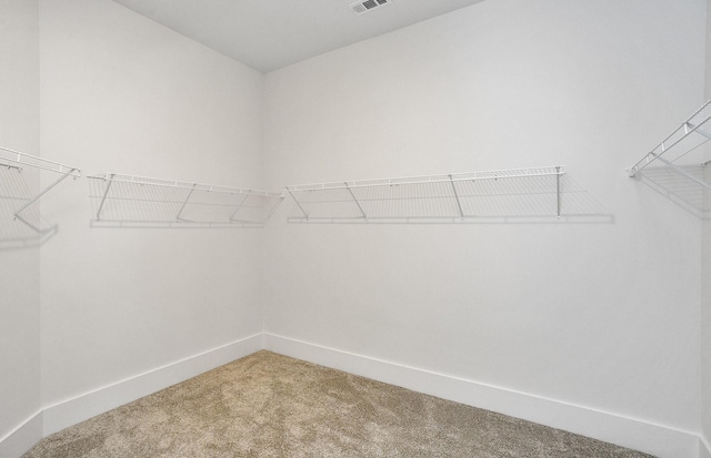 walk in closet featuring carpet flooring