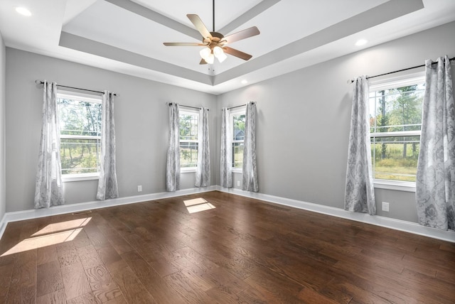 spare room featuring a tray ceiling, a wealth of natural light, and hardwood / wood-style floors