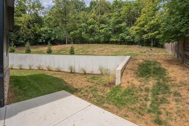 view of yard with a patio