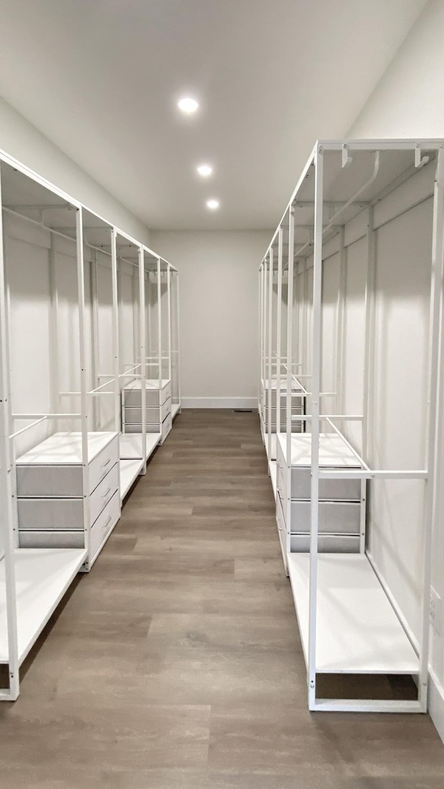 spacious closet with wood-type flooring