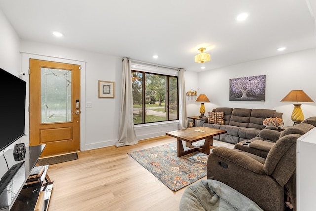 living room with light wood-type flooring