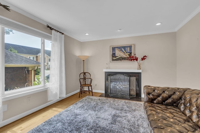 living room with wood-type flooring and crown molding