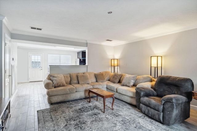 living room with crown molding