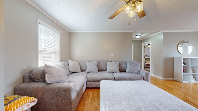 living room with a textured ceiling, light hardwood / wood-style floors, ceiling fan, and crown molding