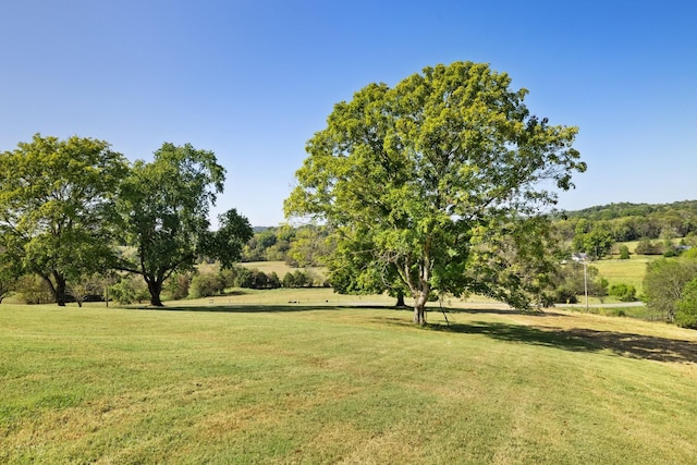 view of yard with a rural view