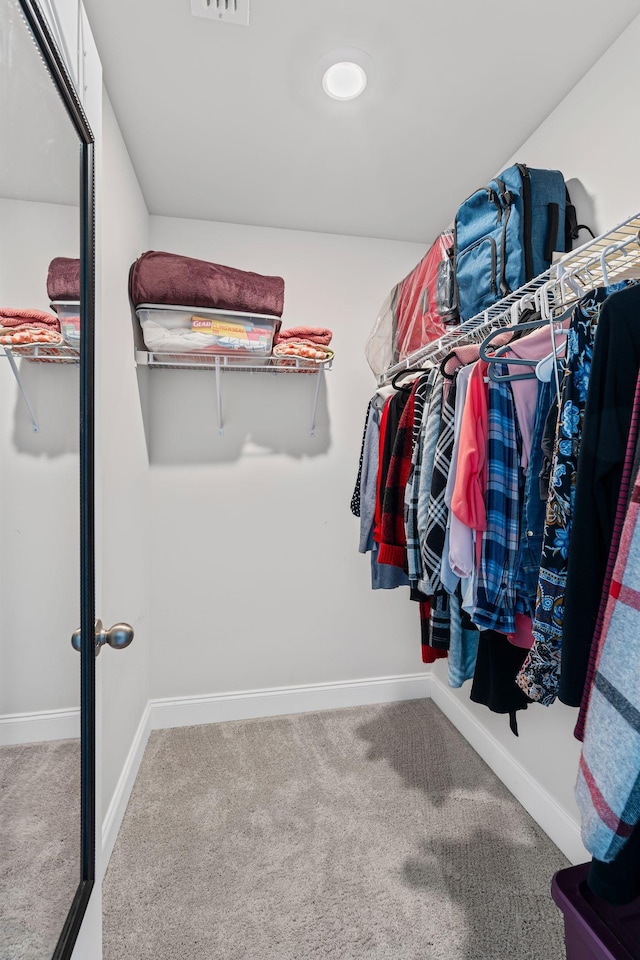 spacious closet with carpet flooring