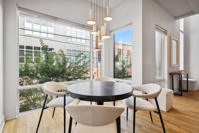 dining space with wood-type flooring