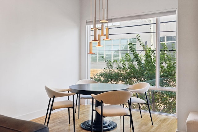 dining room with light hardwood / wood-style flooring and a healthy amount of sunlight