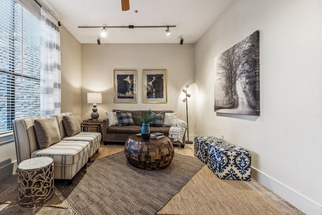 living room with a wealth of natural light and rail lighting