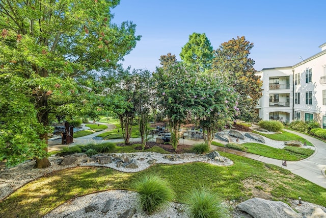 view of community with a lawn