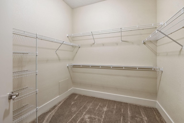 spacious closet with carpet