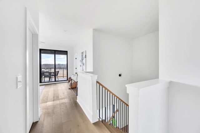 hall with light hardwood / wood-style flooring and a wall of windows