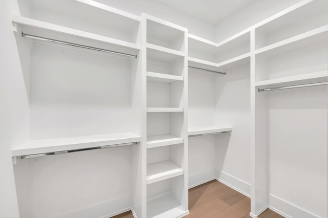 walk in closet with hardwood / wood-style flooring