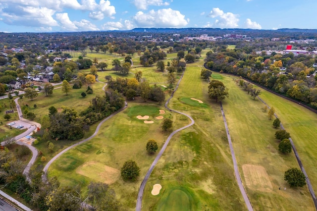 aerial view