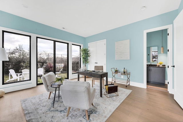 office space featuring light hardwood / wood-style flooring