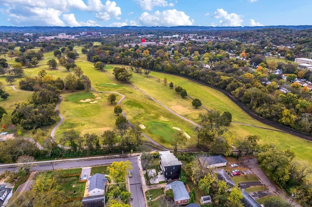 bird's eye view