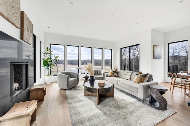 living room with light wood-type flooring