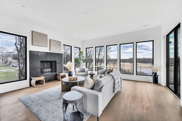 living room with a high end fireplace, light hardwood / wood-style flooring, and plenty of natural light