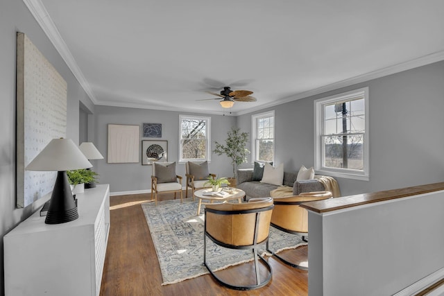 living room with ceiling fan, dark hardwood / wood-style floors, and crown molding