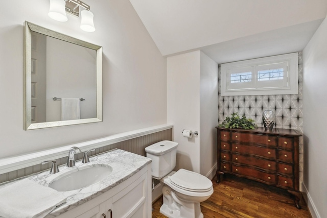 bathroom with vanity, wood-type flooring, and toilet