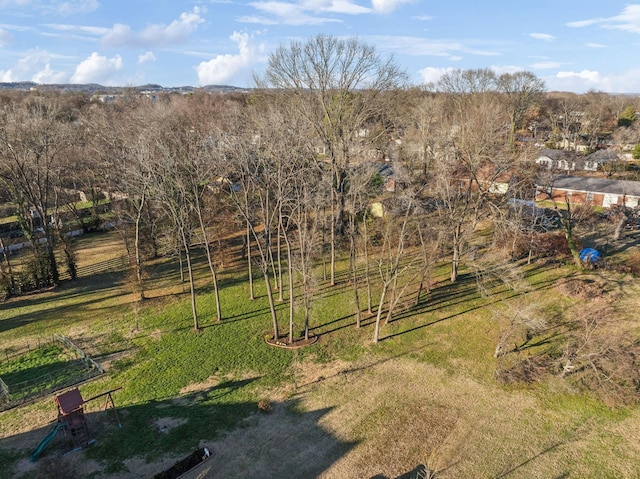 view of yard with a rural view